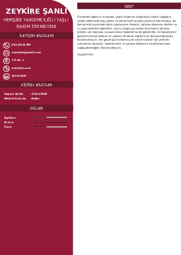 Hasta ve Yaşlı Bakım Elemanı Cv Örnekleri cv indir